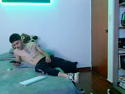 Show Webcam de Perseo955