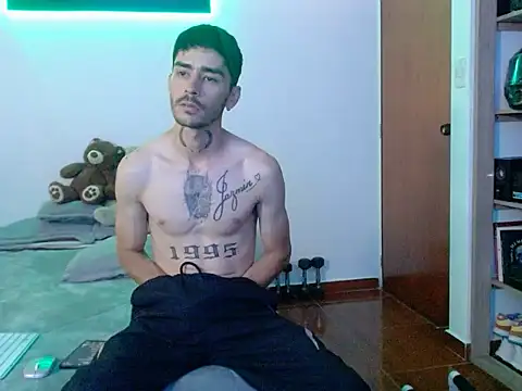 Perseo955n Webbikameraesitys
