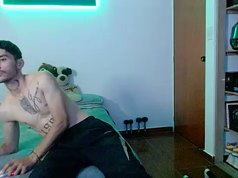 Perseo955n Webbikameraesitys