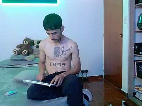 Show Webcam de Perseo955