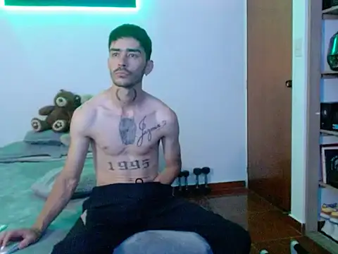 Perseo955n Webbikameraesitys