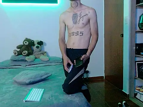 Show Webcam de Perseo955