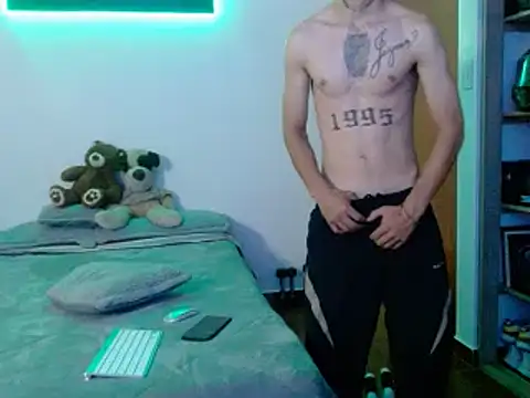 Perseo955n Webbikameraesitys