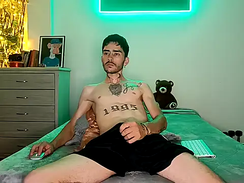 Show webcam de Perseo955