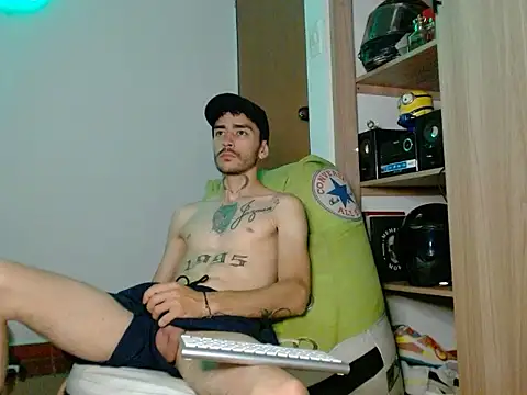 Perseo955n Webbikameraesitys