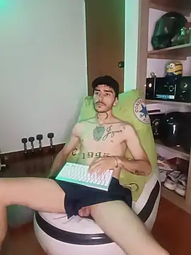 Show Webcam de Perseo955