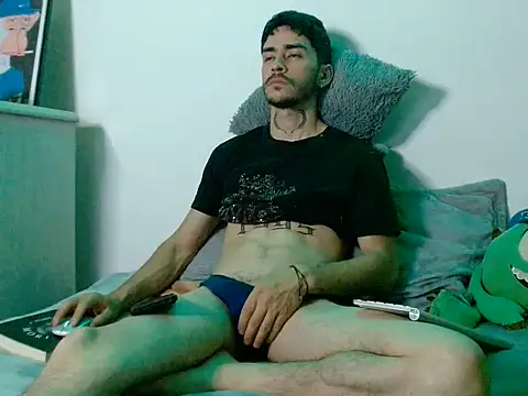 Perseo955n Webbikameraesitys