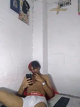 Show modela TY_ROYAL na web-kameri