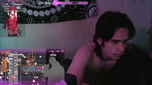 Show Webcam de WildLesh