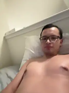 Stiflercum Webcam-Show