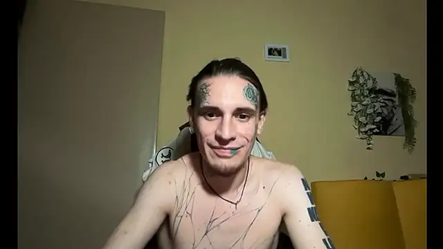 Show webcam de Joybboy