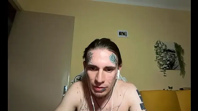 Joybboyn Webbikameraesitys