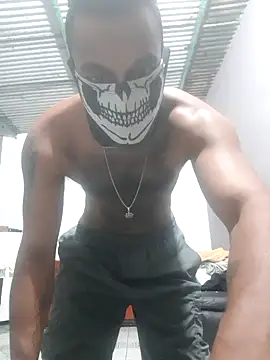 Wedco Webcam-Show