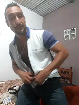 Show Webcam de Wedco
