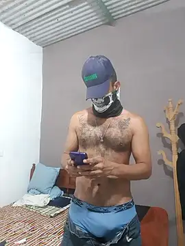 Wedco webcam show