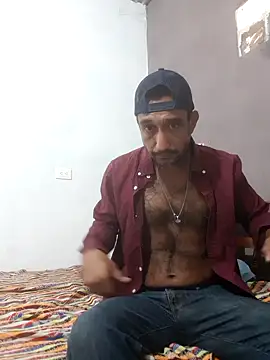 Wedco Webcam show
