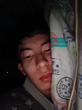 Arthur_Mclovin Webcam-Show