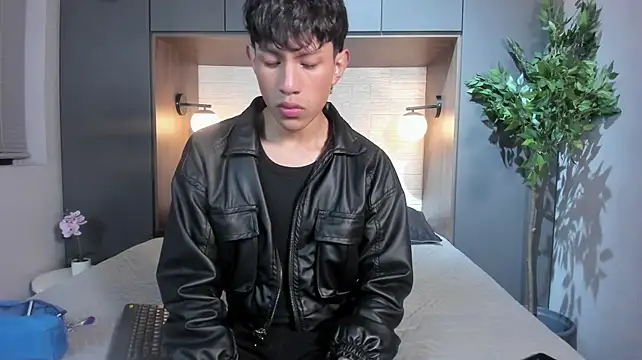 Pierre_Leroy_n Webbikameraesitys