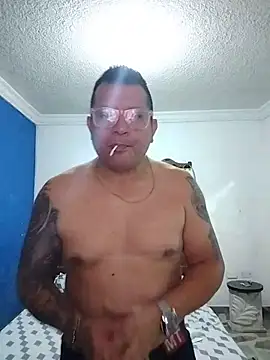 Show webcam de Terraluna333