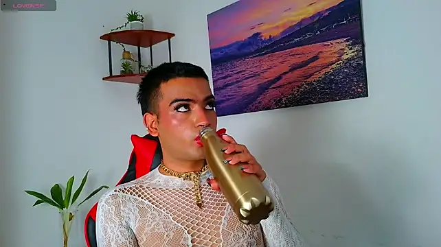 angeel_Fox_n Webbikameraesitys