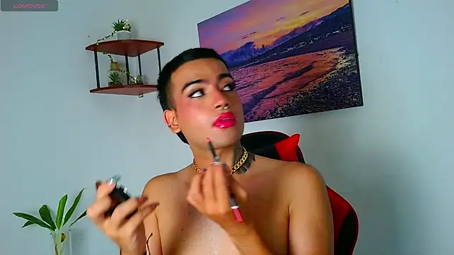 angeel_Fox_n Webbikameraesitys