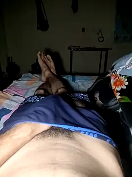 Dhruv0224 Show in webcam