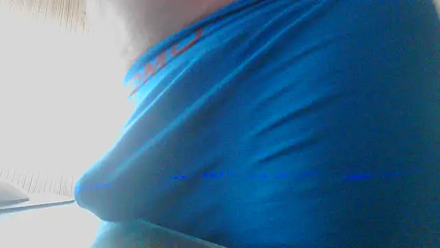 Show Webcam de alforoso