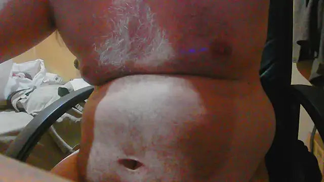 Show Webcam de alforoso