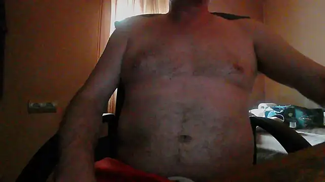 Show Webcam de alforoso