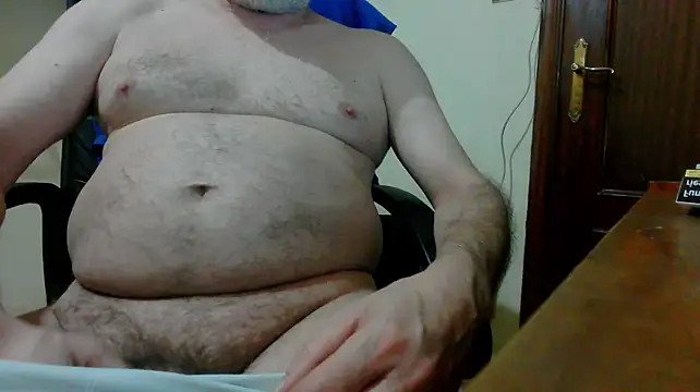 alforoson Webbikameraesitys