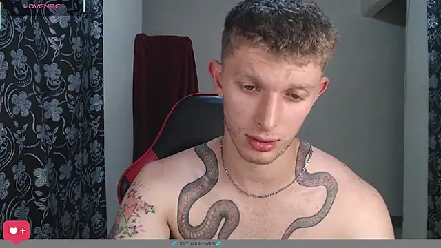 Show de webcam de andrewxbii