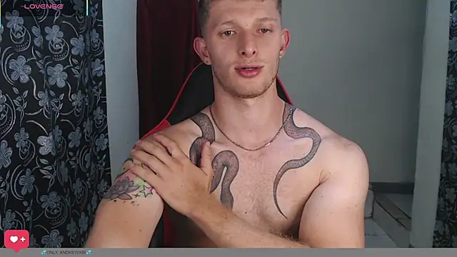 andrewxbiin Webbikameraesitys