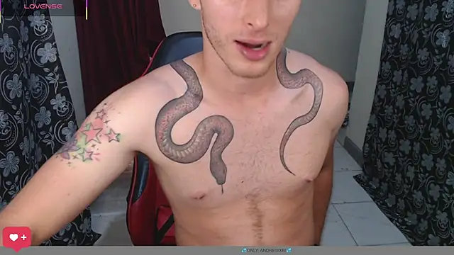 Show de webcam de andrewxbii