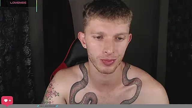 Show webcam de andrewxbii