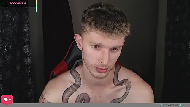 andrewxbii webkamerás műsora