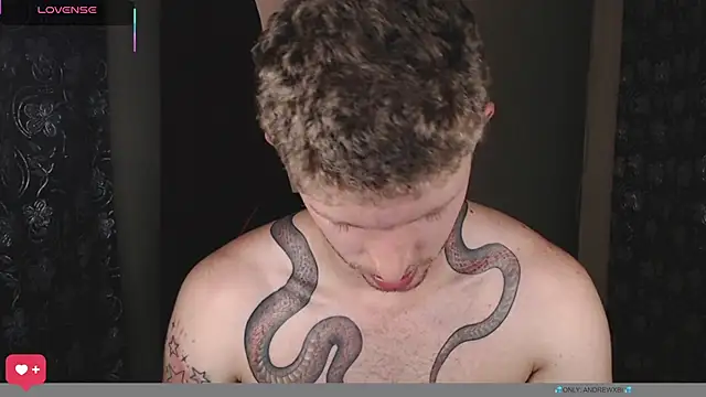 andrewxbiin Webbikameraesitys