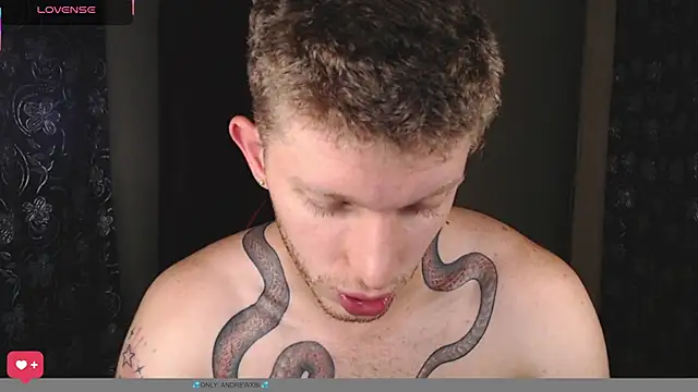 Show Webcam de andrewxbii