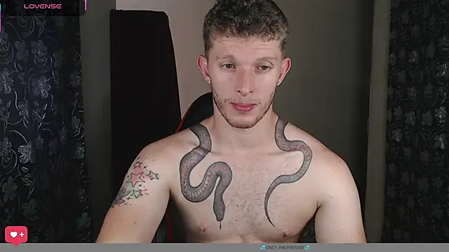 Show webcam de andrewxbii