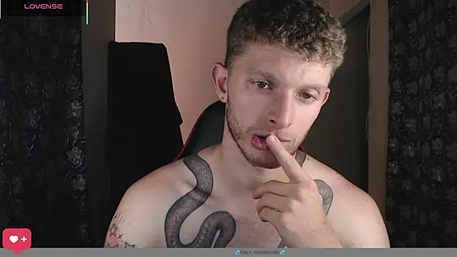 Show Webcam de andrewxbii
