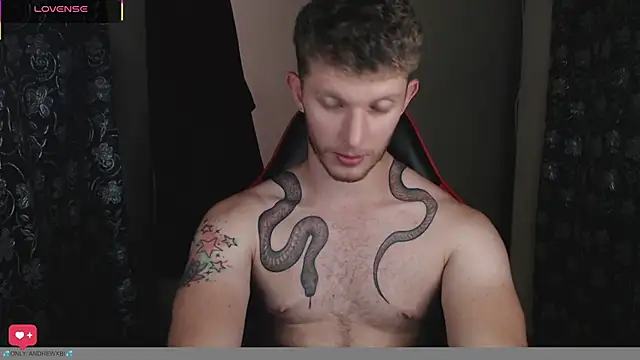 andrewxbii webcam show