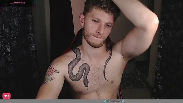 Show Webcam de andrewxbii