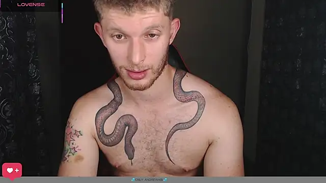 Show de andrewxbii na webcam