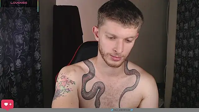 andrewxbiin Webbikameraesitys