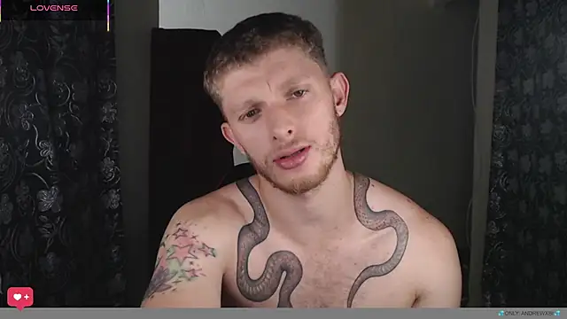 andrewxbii webcam show