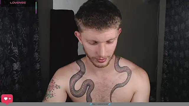 Show de andrewxbii na webcam