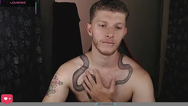 Show Webcam de andrewxbii