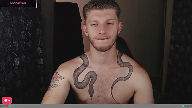 andrewxbiin Webbikameraesitys