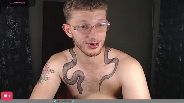 Show de webcam de andrewxbii