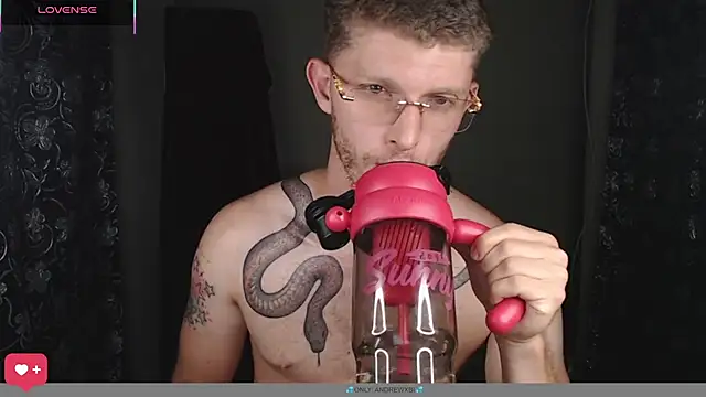 Show de webcam de andrewxbii