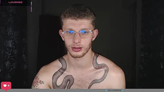 andrewxbiin Webbikameraesitys
